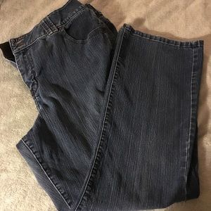 Lane Bryant Tummy Control Plus Size Jeans